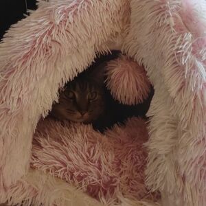 Cozy, Cute Pink Cat Bed
